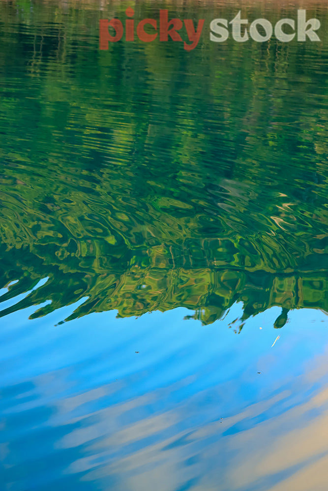 Reflecting greenery on the rippled water.
