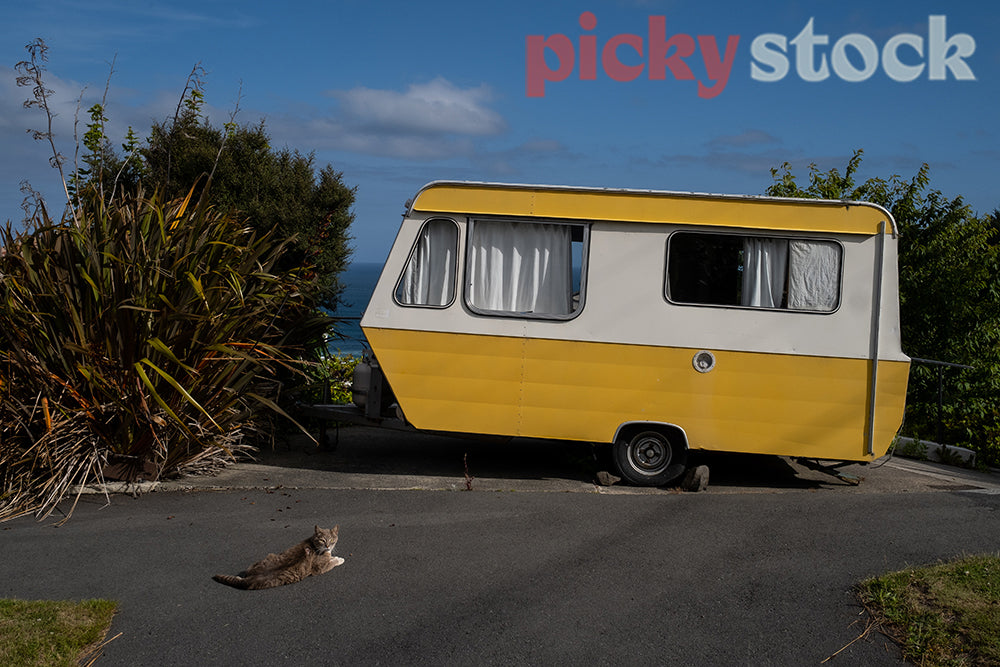 Bright yellow caravan and cat