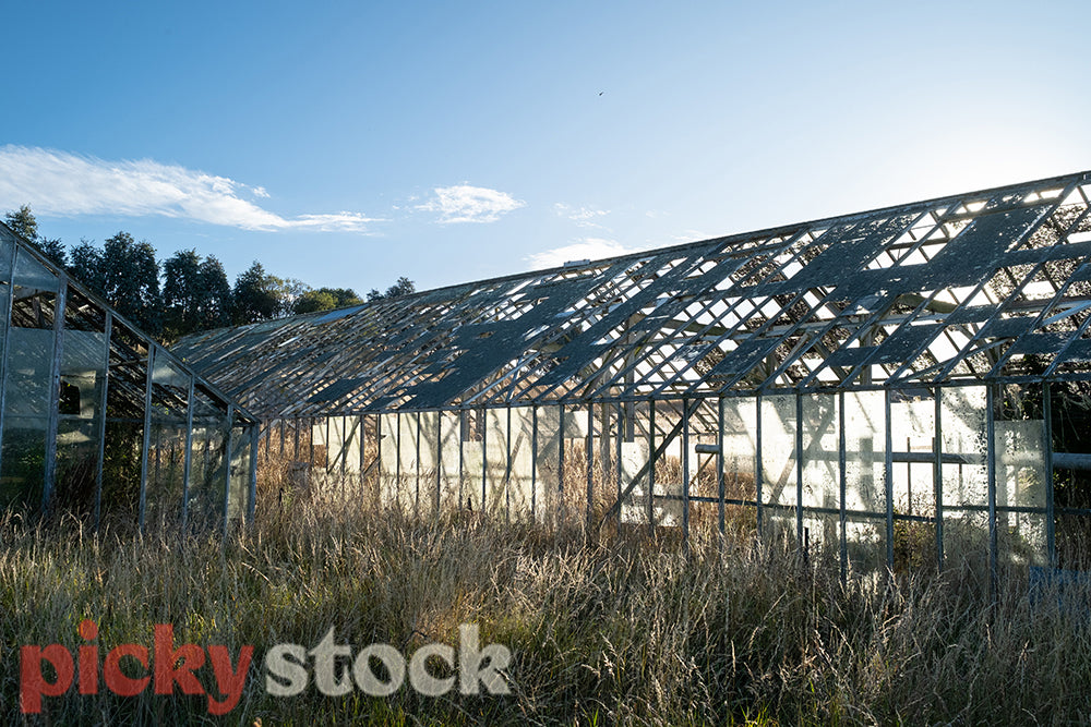 Abandoned greenhouse on farm in Kakanui, Otago with sun shining through broken glass.