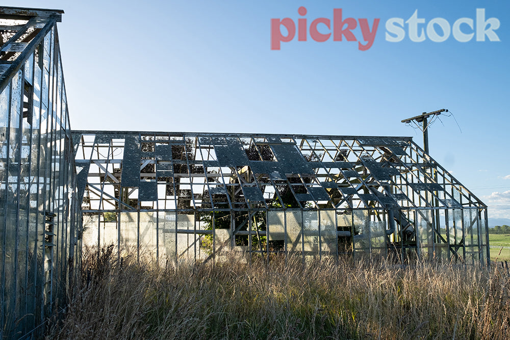 Abandoned greenhouse on farm in Kakanui, Otago with sun shining through broken glass.