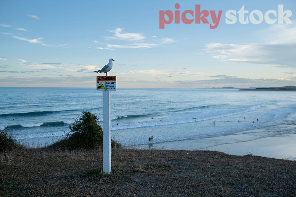 Beach at dusk and a bird on a sign