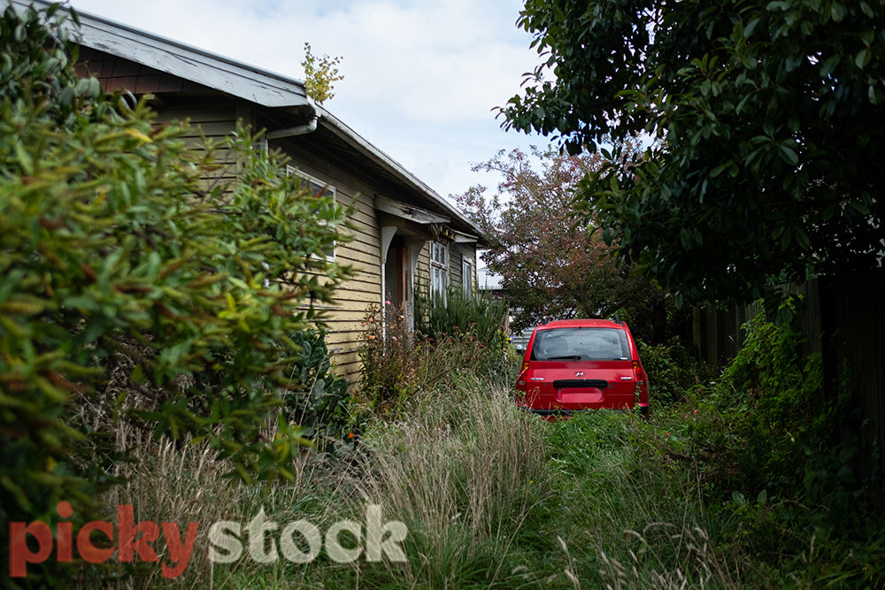 Red car in overgrown driveway