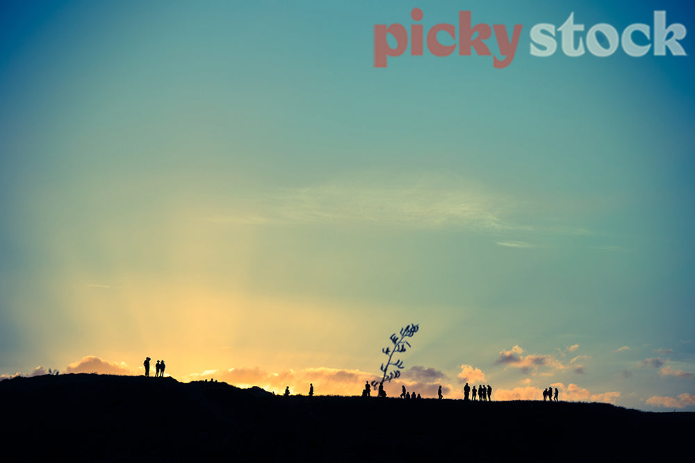 Silhouette of people waiting for the sunset on top of the hill at Tawharanui penninsula