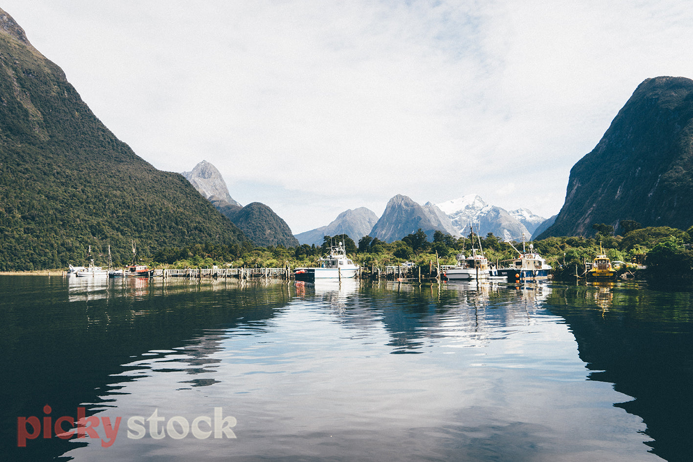 Reflections in the harbour in Milford Sound