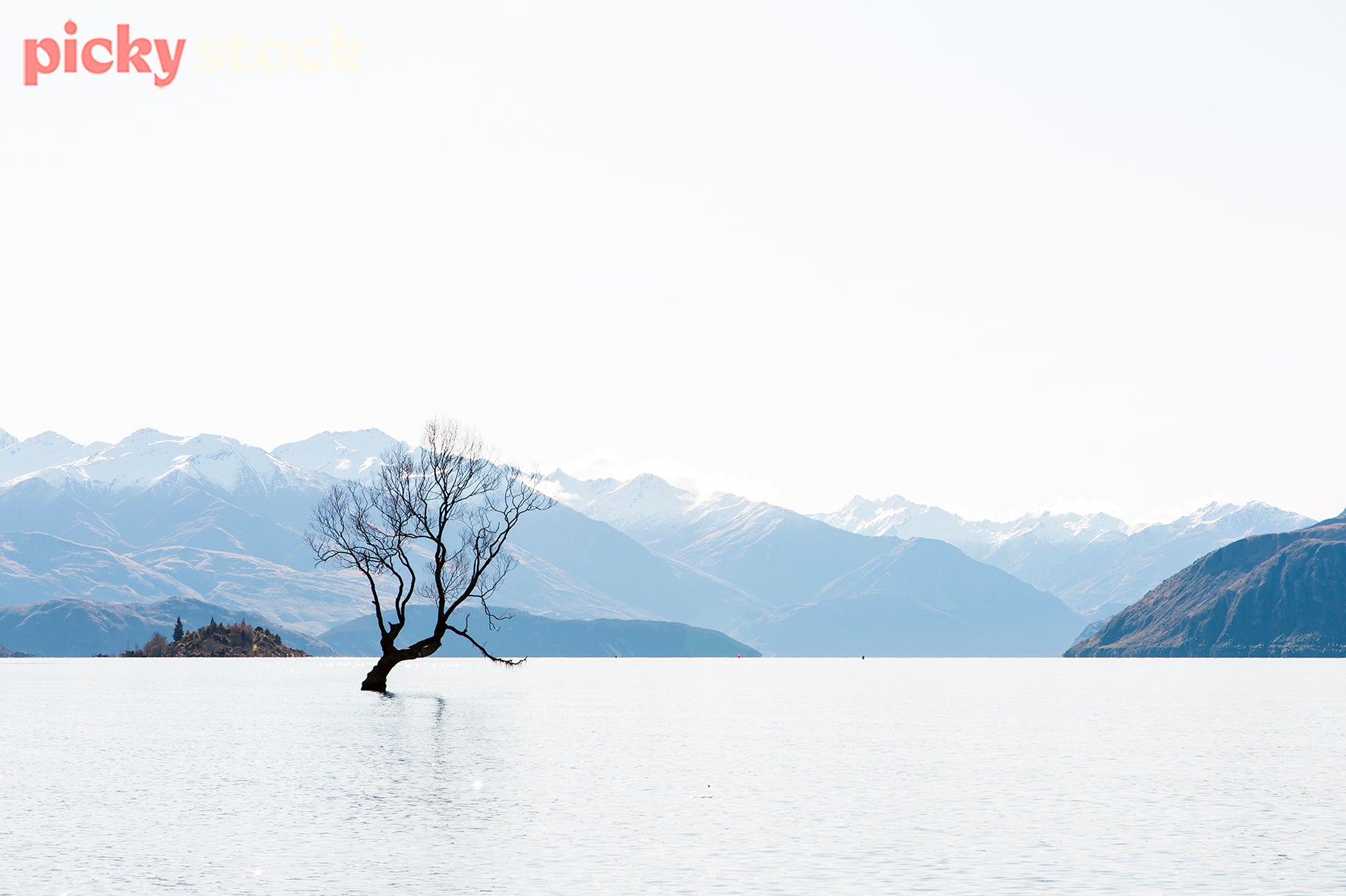 The classic Wanaka tree peeking out of Lake Wanaka on a grey day.