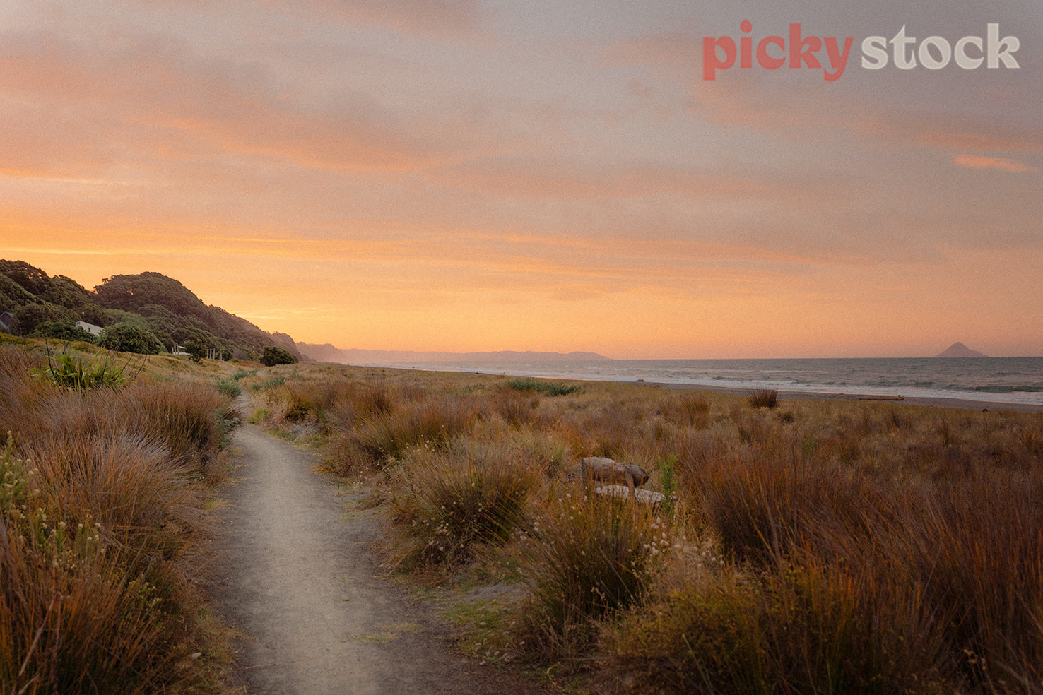 Sunset scene at Opotiki. Landscape shot of the path around the edge of the ocean. Ocean is right of frame, with small waves.Path is gravel, with dry plants around the edge. Sky is a beautiful orange with different tones of yellow. 