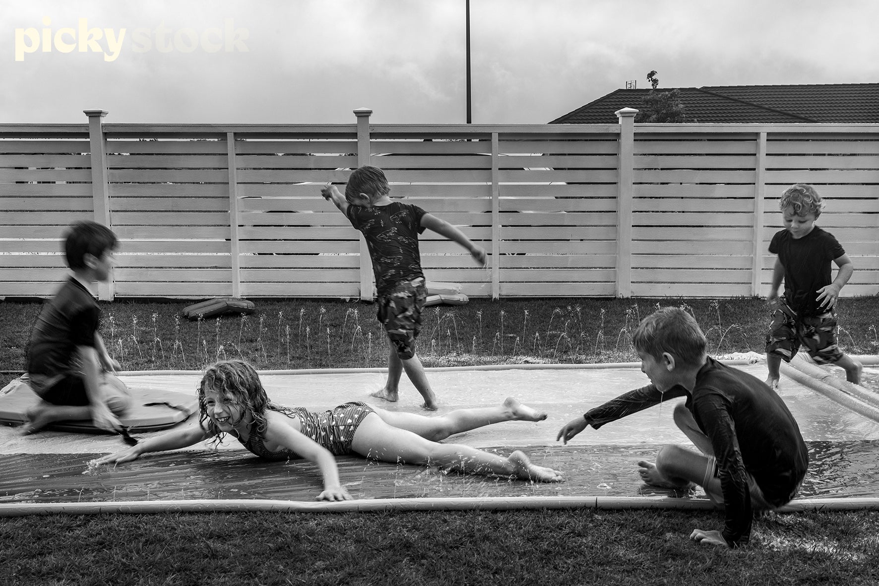 Five kids playing on a slip and slide in their backyard. Kids are young all wearing their togs and swimwear in barefeet. Four boys and one young girl. They are all in various positions around the frame. Motion blur left of frame
