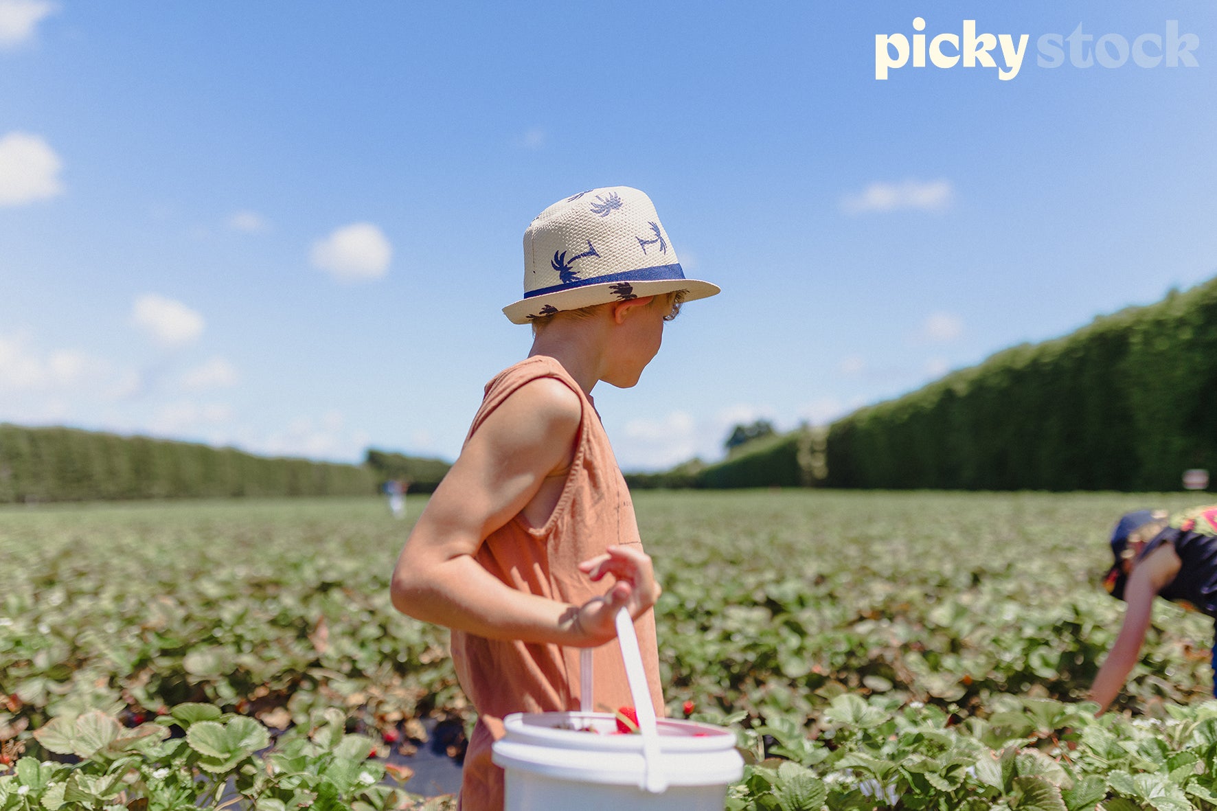 Young boy holding a white bucket full of freshly picked strawberries. Wearing a hat with palm trees, and an orange singlet. Behind him are rows and rows of green strawberry plants, with a big green hedge to the right. Lady right of frame out of focus also picking strawberries
