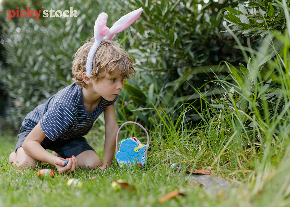 Small boy holding easter eggs in his hand, looking in the grass for more. 