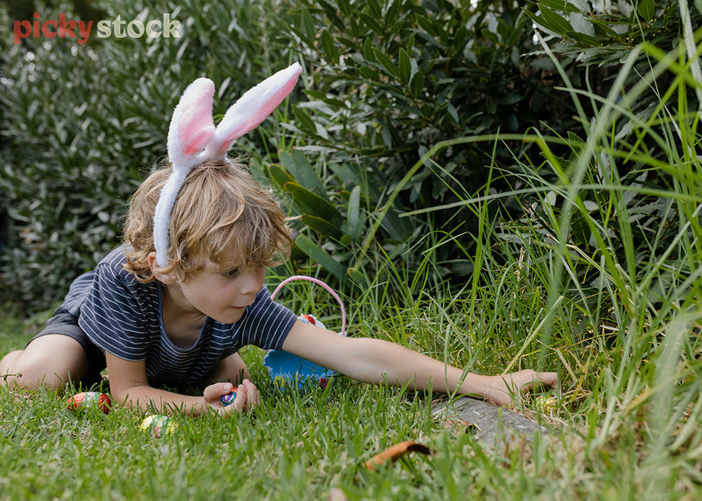 Small boy holding easter eggs in his hand, reaching out in the long grass to colllect another. 