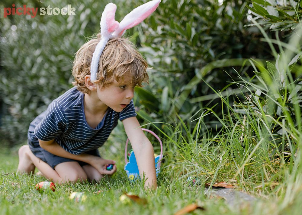 Small boy on Easter egg hunt looking in long grass for more chocolates. 