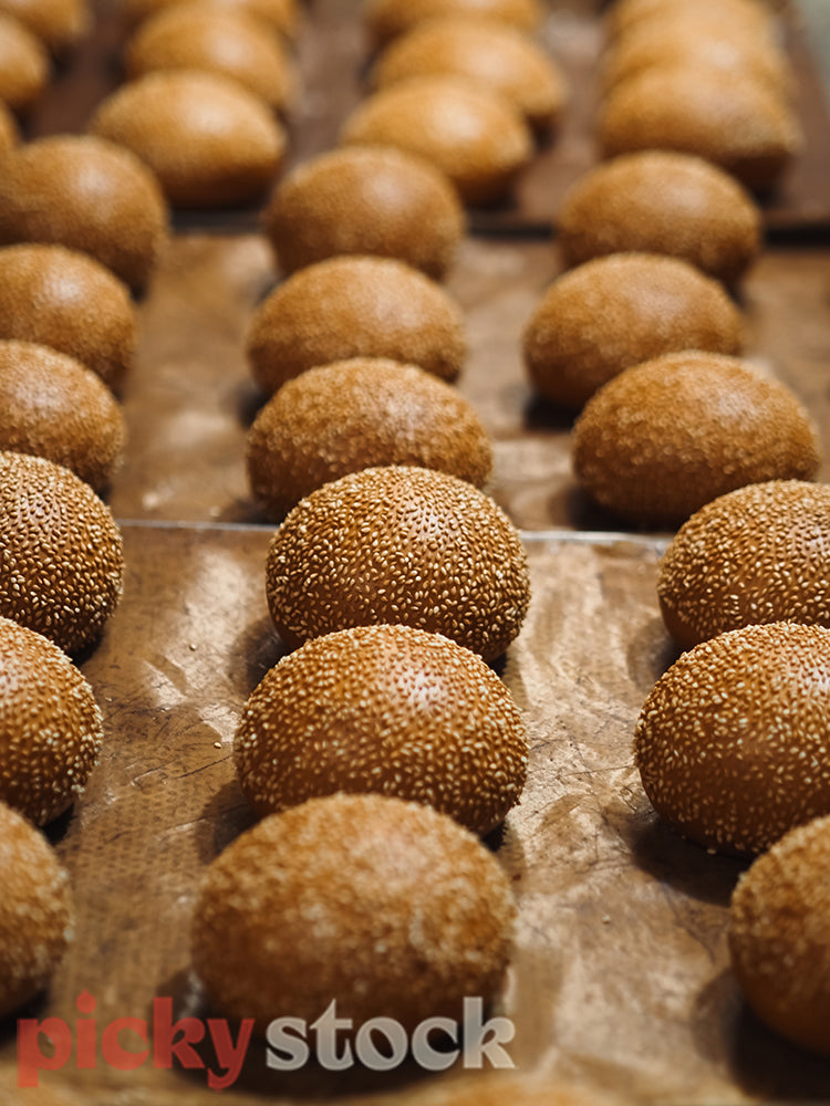 Trays of artisanal burger buns topped with sesame seeds. 