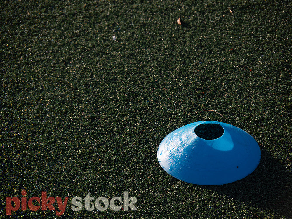 Blue field marker cone on synthetic grass.