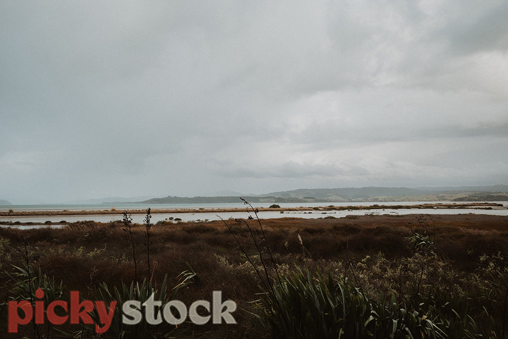 Bleak day at Duder Regional Park, looking out to grey clouds from low lying area.