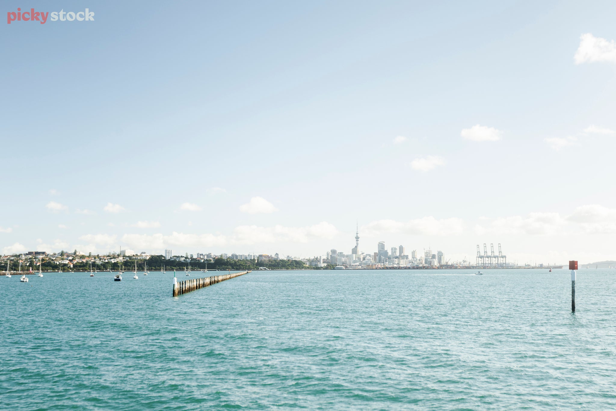 View of Auckland City