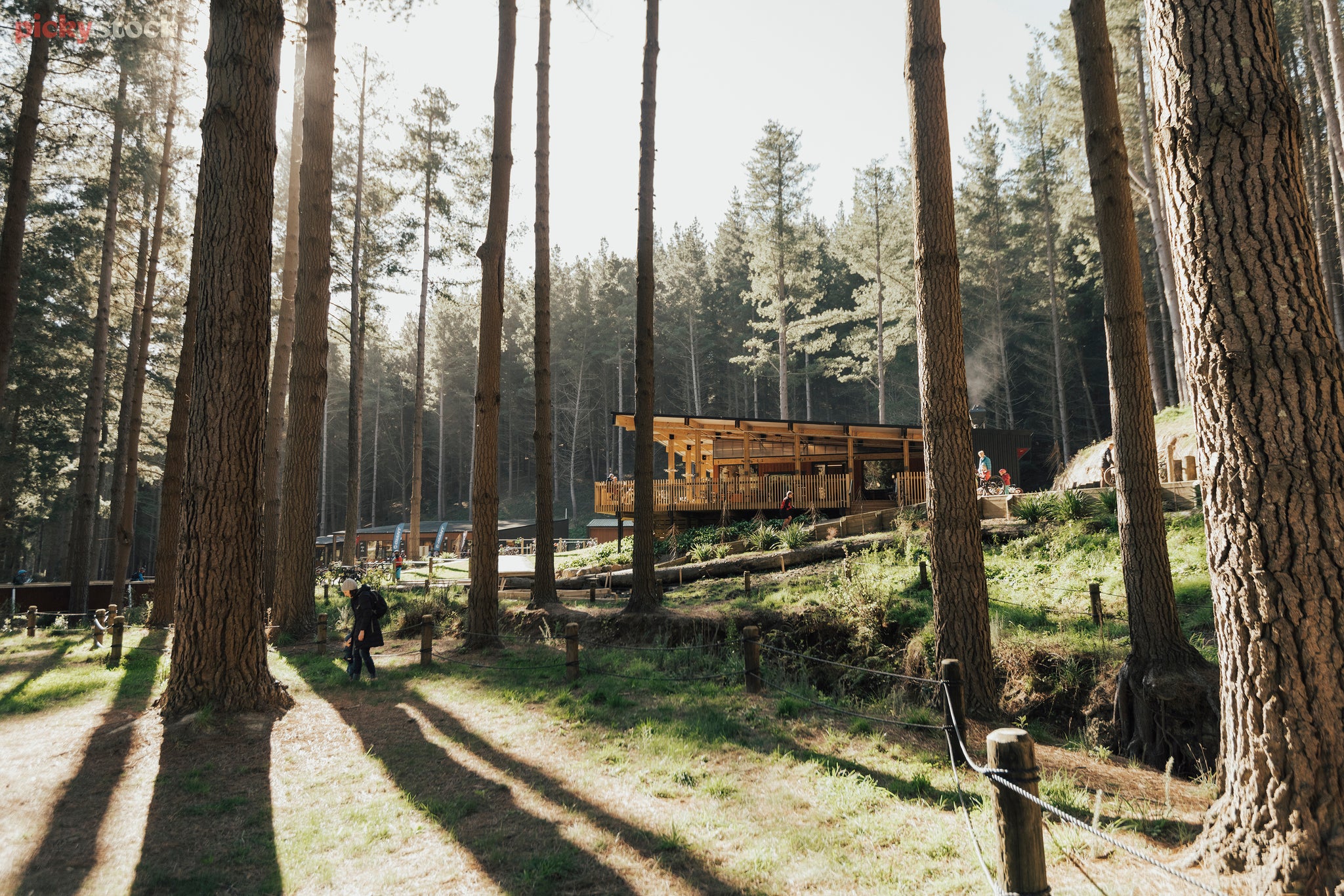 In a pine forest there's a building which has a deck and a sloped roof. People walk through the forest, with mountain bikes.
