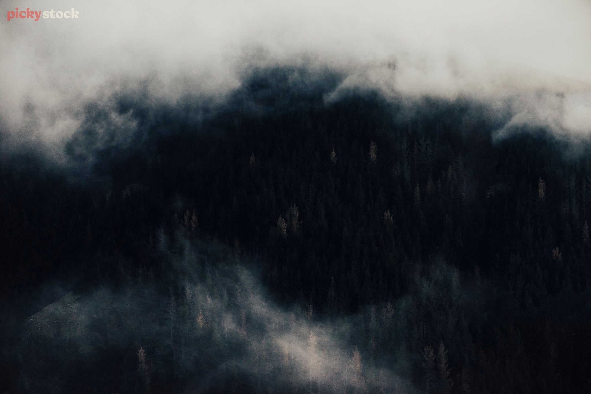 A very moody, foggy and misty look out at the Port Hills. The entire image is dark and dramatic, monochrome grey in nature. 