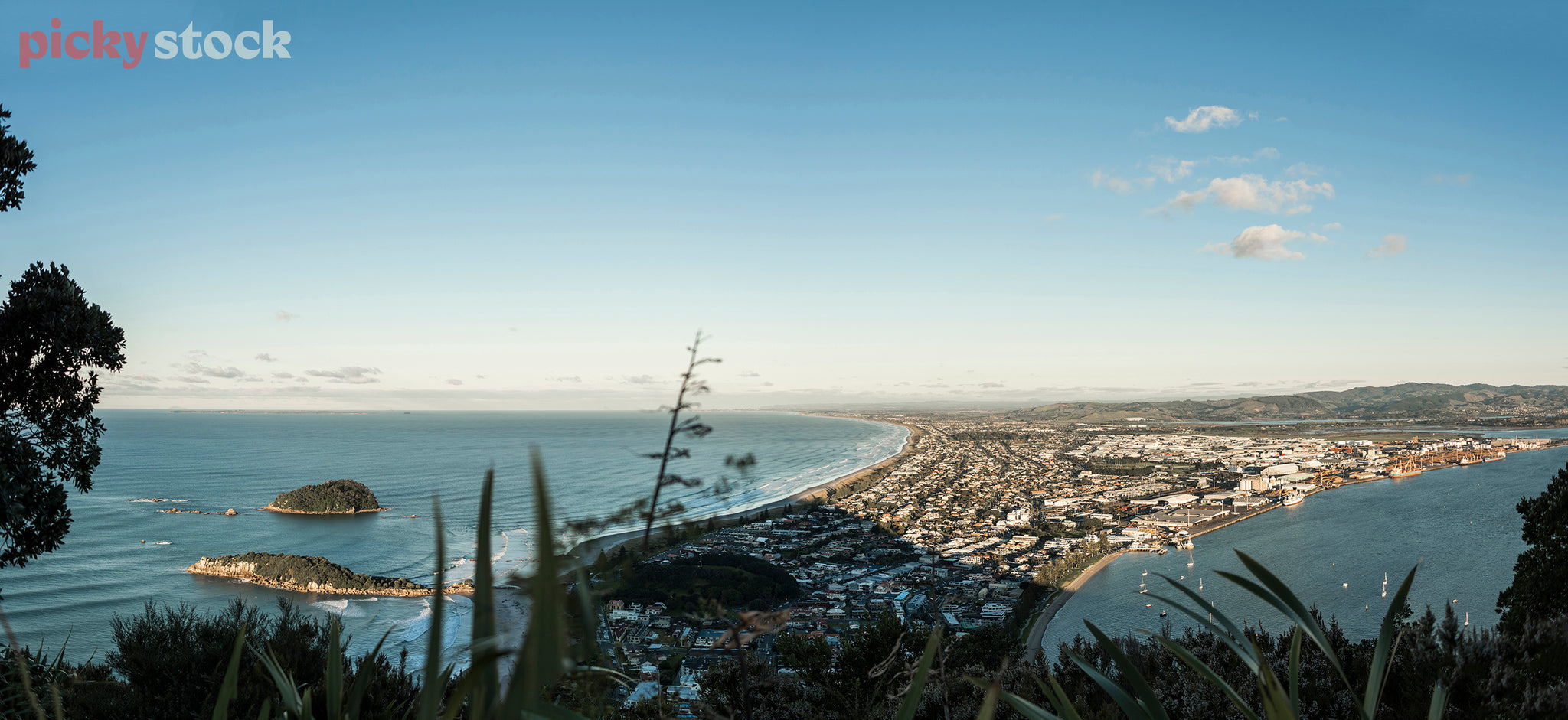 View from the Mount in Tauranga, a hill which overlooks a port, and residential development