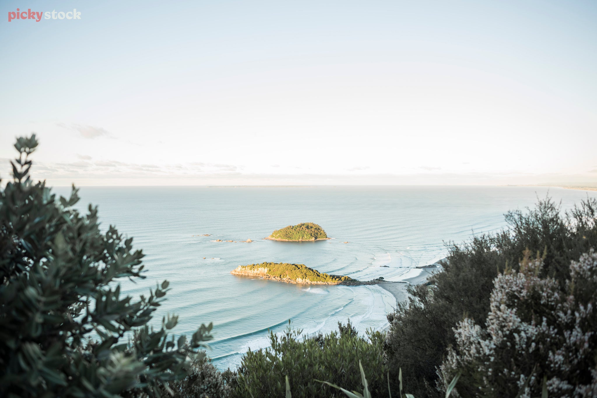Two islands ist on the ocean waves close to shore. The sky is a white blue and the view is framed by manuka and pohutukawa