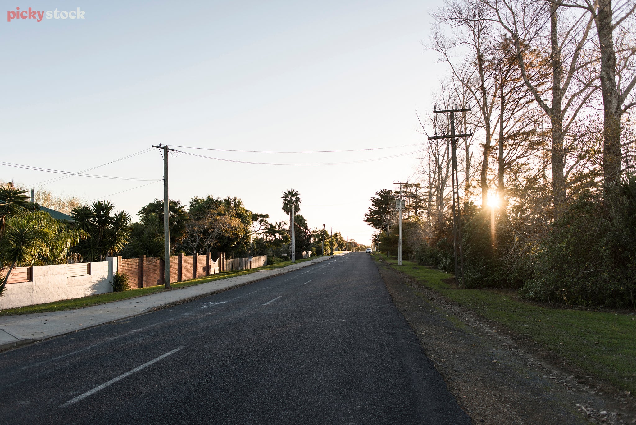 Early morning on an empty residential street. Powerlines and trees rise into the grey-blue sky.