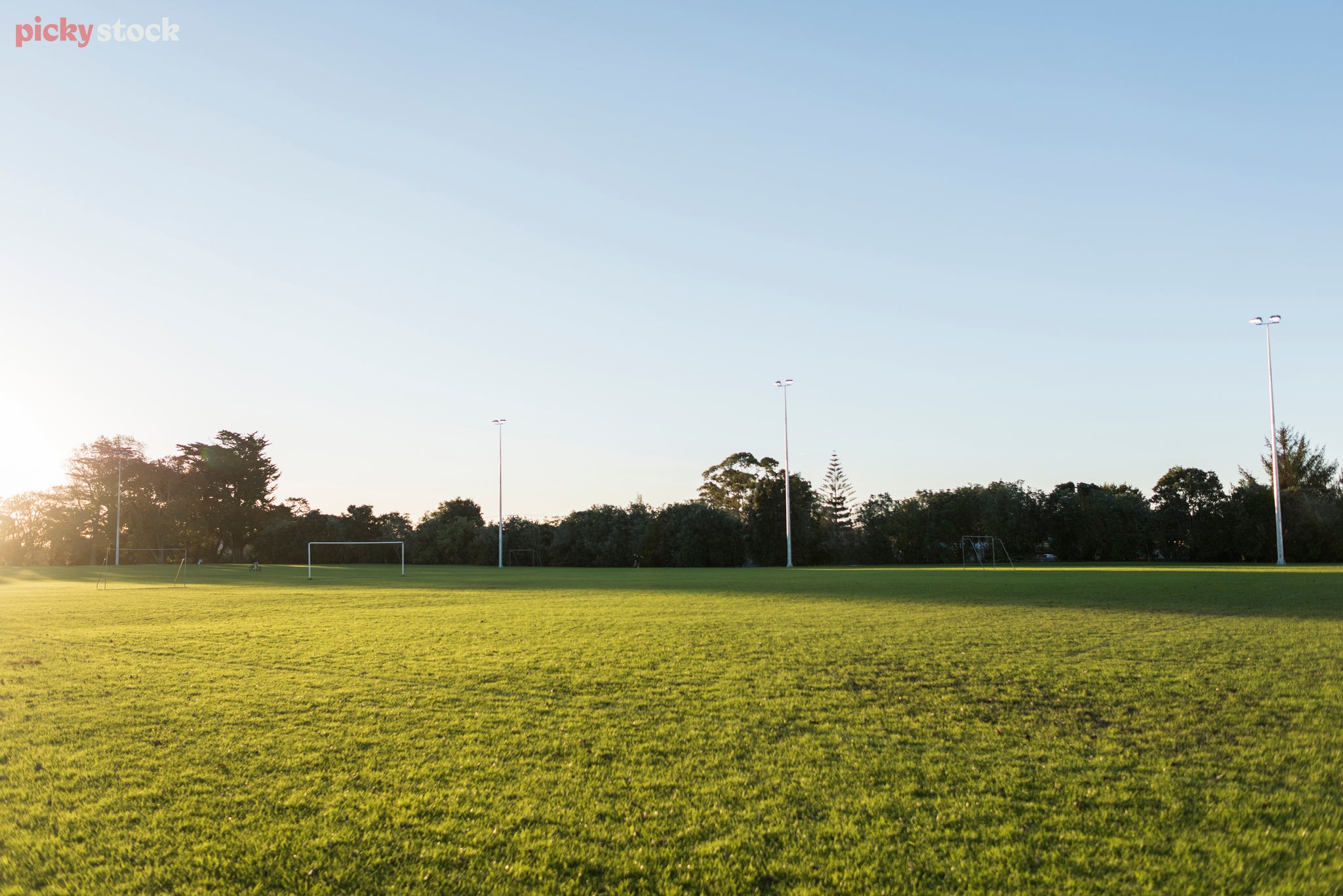 Early morning on a football or soccer field, the field lights rise high into the blue sky.
