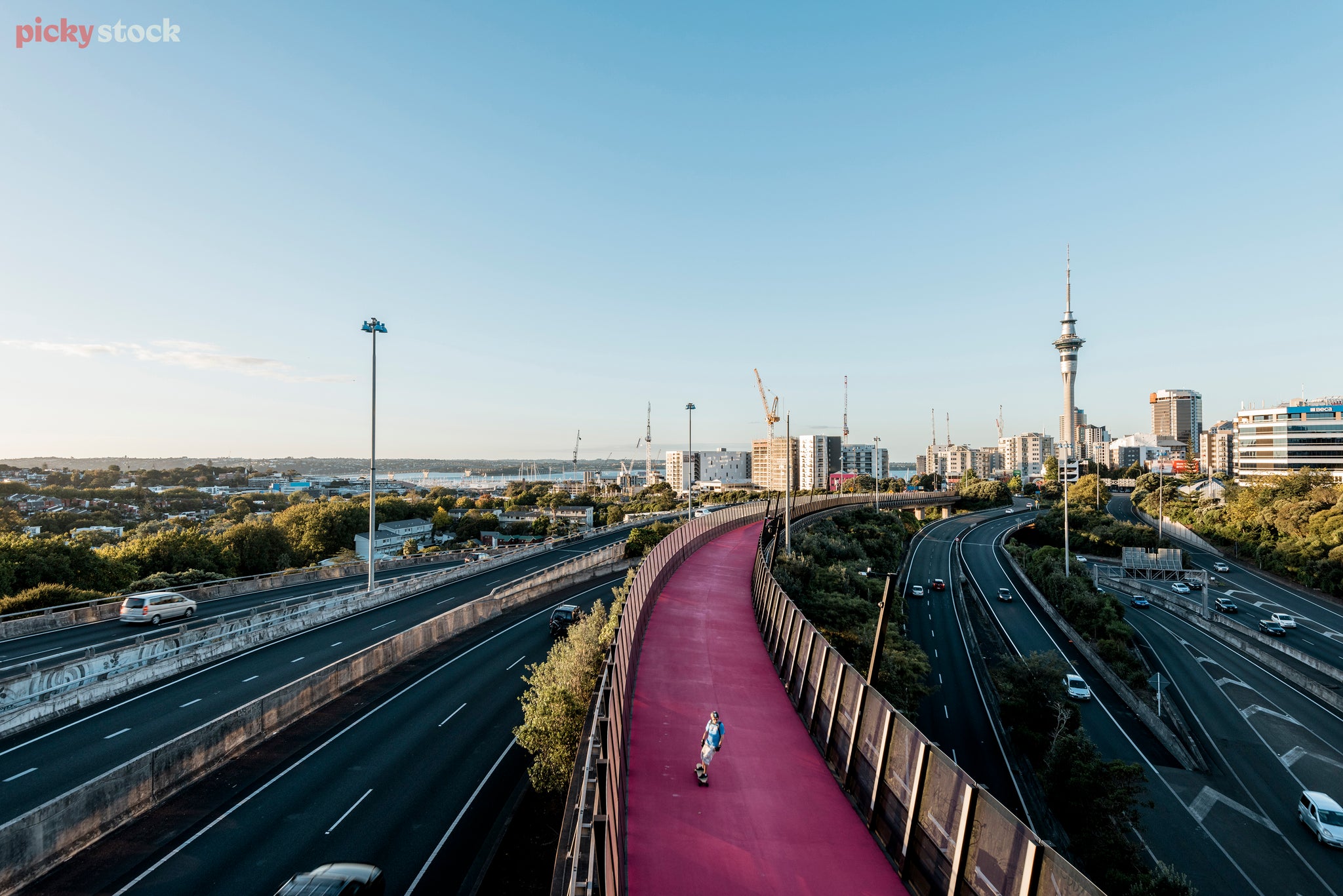 On a blue sky day, a lone skateboarder uses the light path, shared bike path. A pink ribbon over the top of Aucklands spagehetti junction. In the distance the Sky Tower rises up, a tall thin building around it are other skyscrapers. 