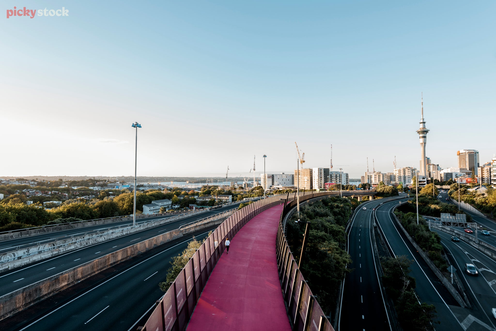 A lone jogger makes their way towards Auckland city. Where the Sky Tower, a tall narrow building stands above the cities skyline. Cranes dot the skyline as. Under the lightpath, motorways cross eachother forming the spagehetti junction.