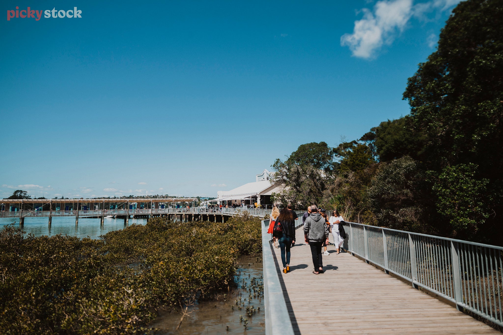 On a blue sky day, people walk on a shared path built above mangroves and an esturary to a ferry jetty.