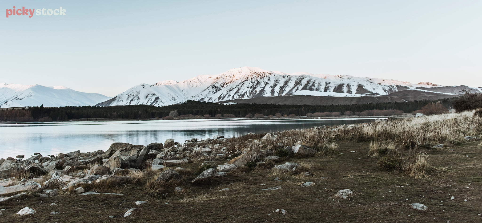 In early morning a dirt tussock bank runs down to a flat blue green lake. In the distance sits a snow covered mountain.