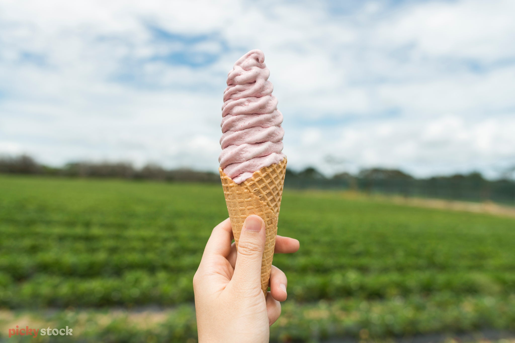 A hand holds up a waffle cone real fruit icecream in front of out of focus green fields.