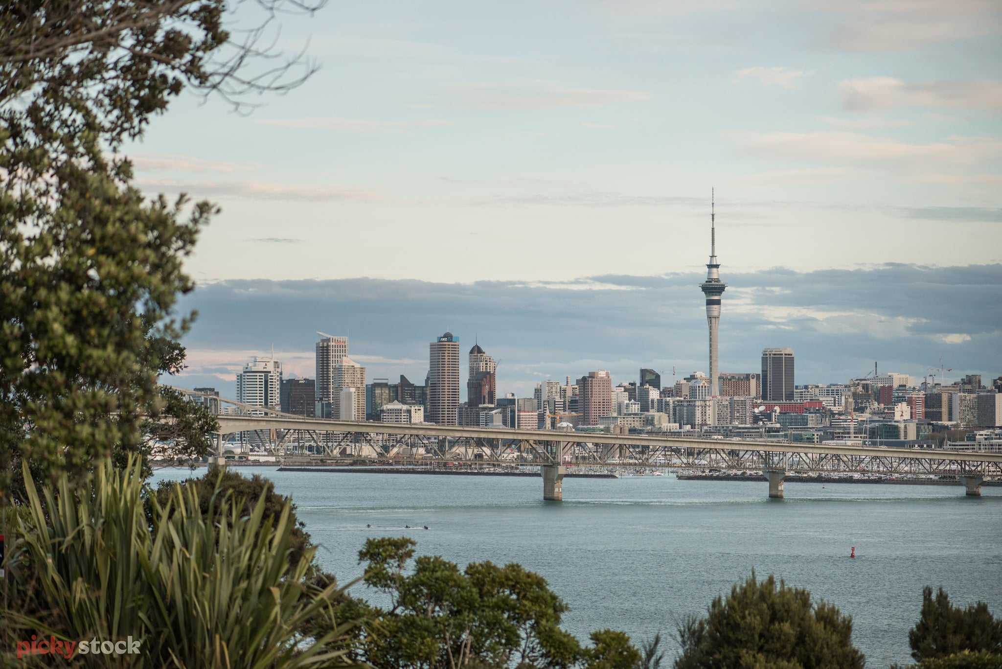 Auckland City views