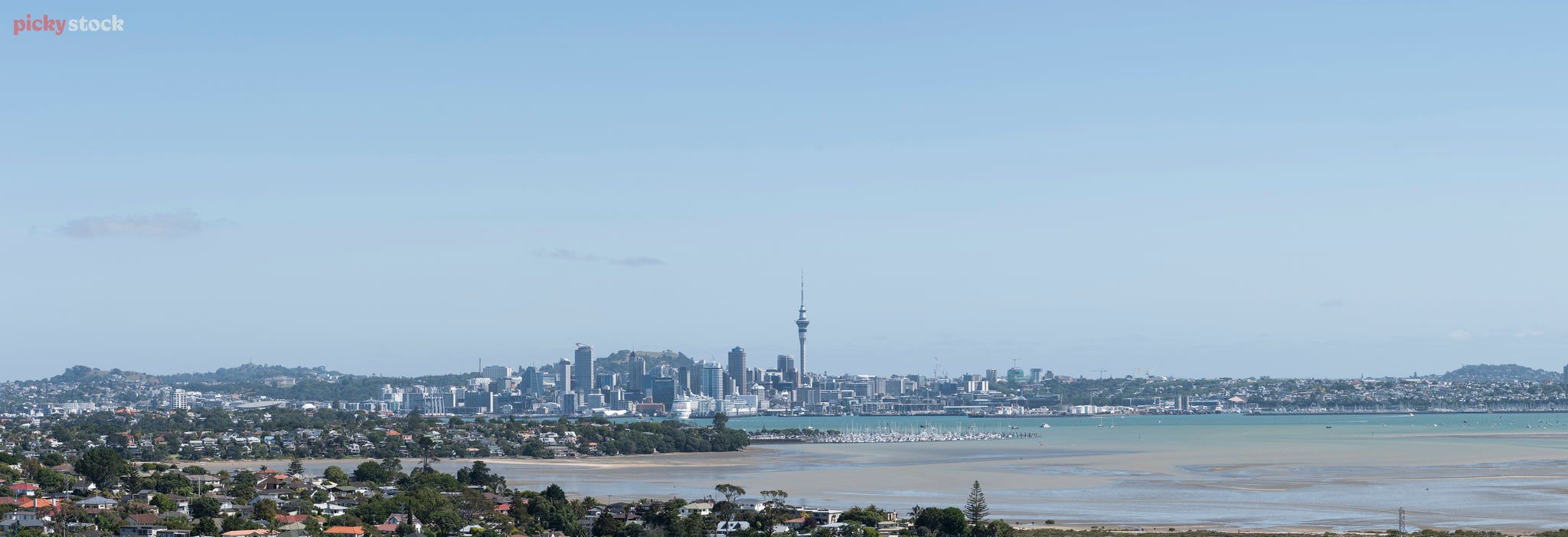 Auckland city panorama view