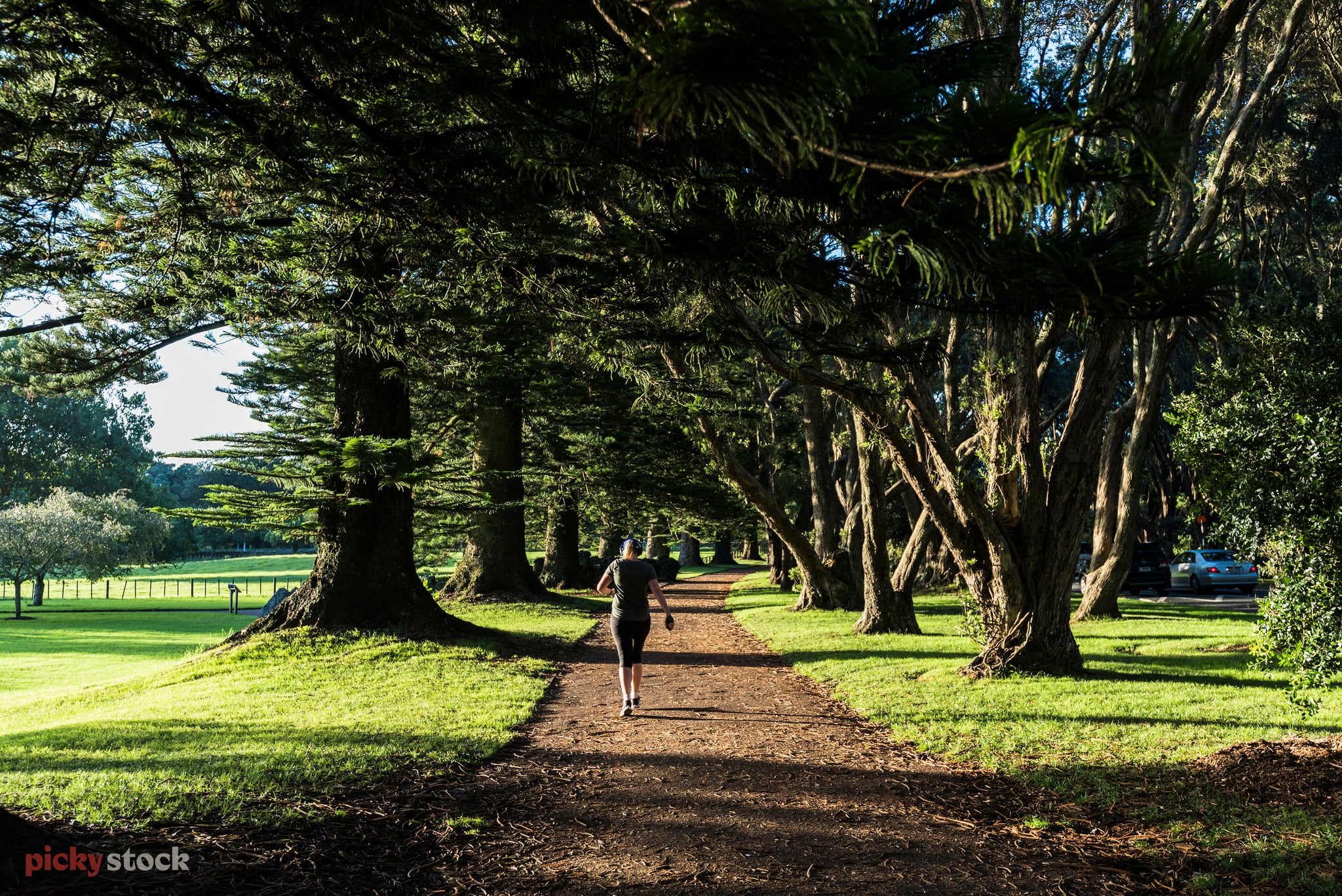 Cornwall Park/One Tree Hill