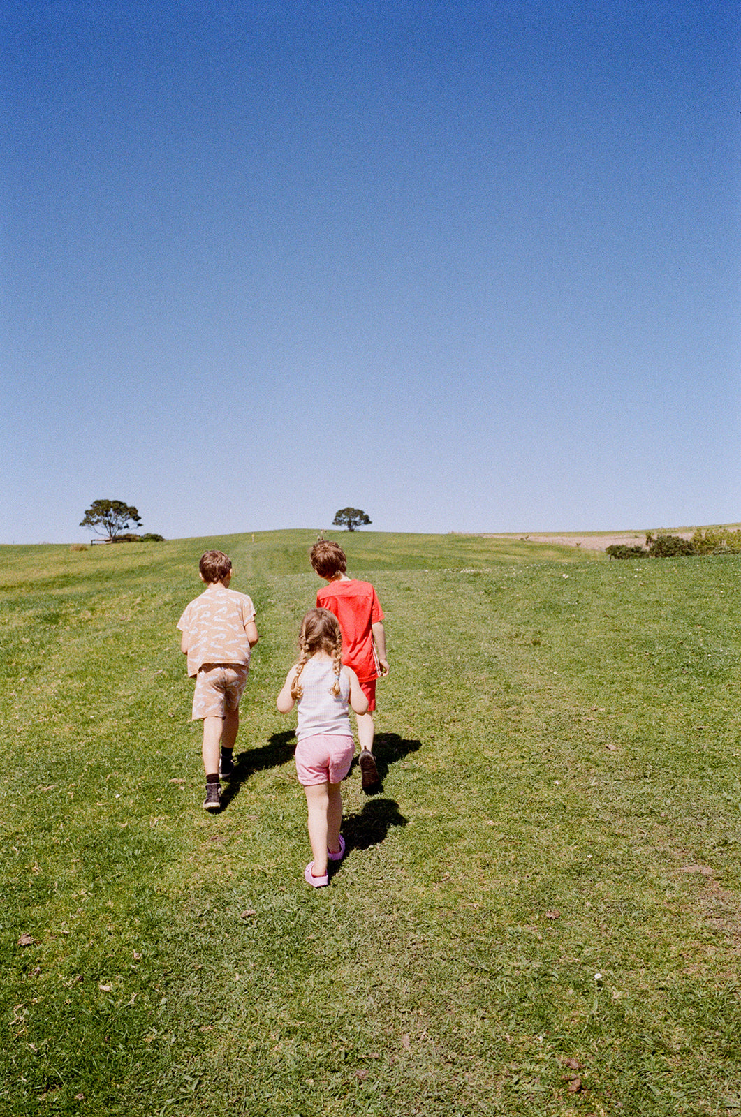 Kids explore a sheep paddock on a sunny day.