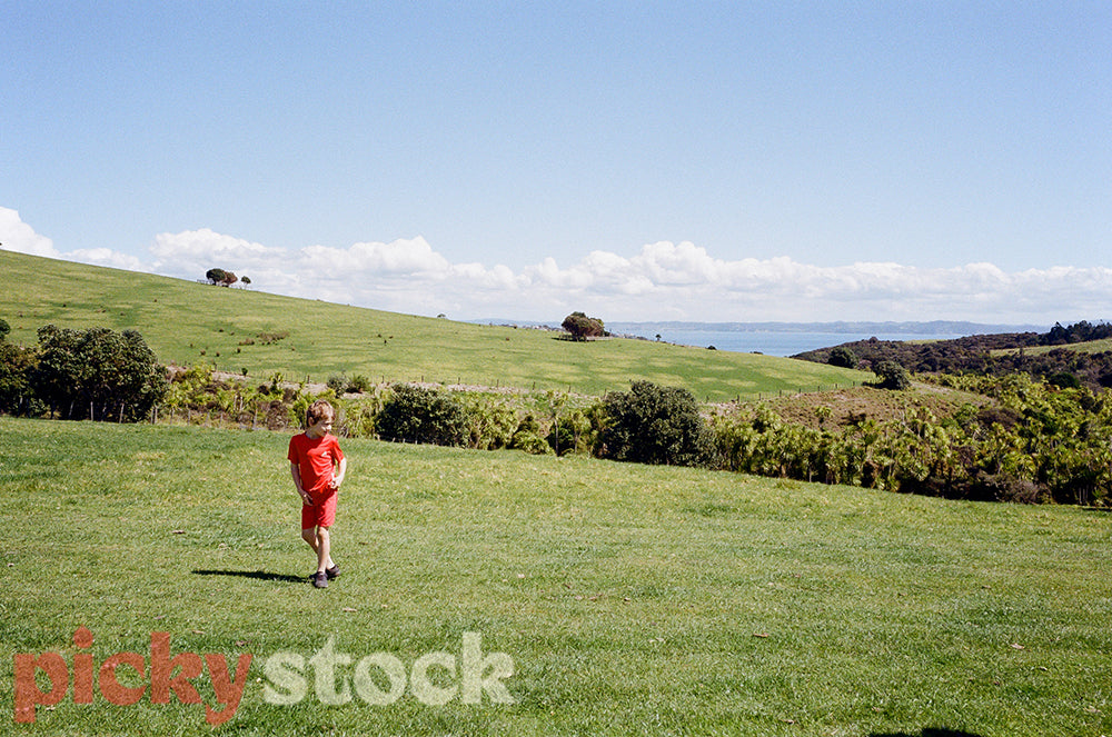 Child looks out over a paddock and the ocean while on a walk.
