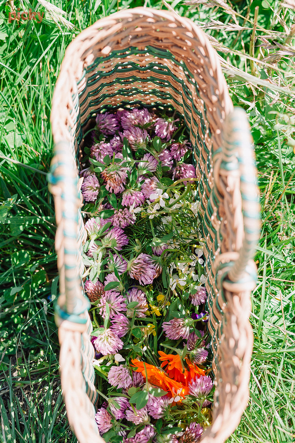 Mixed colourful flowers in a woven bag. 