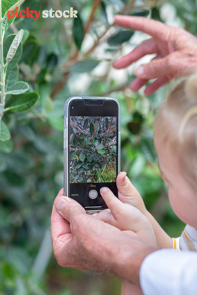 Young girl holding up phone taking a photo of her garden. Older hands helping her assist taking the photo.  