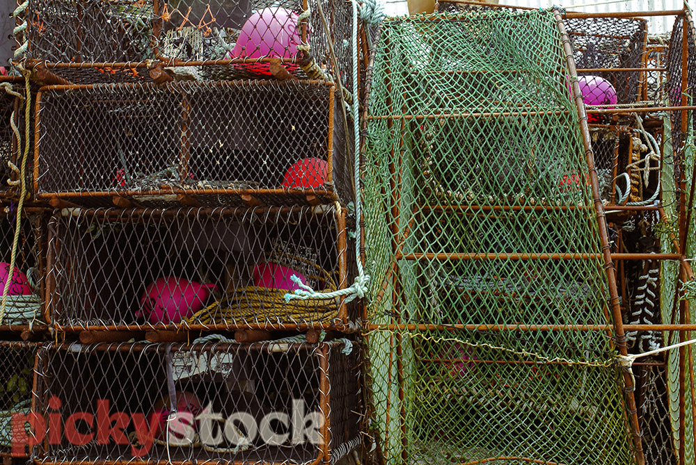 You can find fishing boats and crayfish pots at the small fishing village of Taieri Mouth south of Dunedin