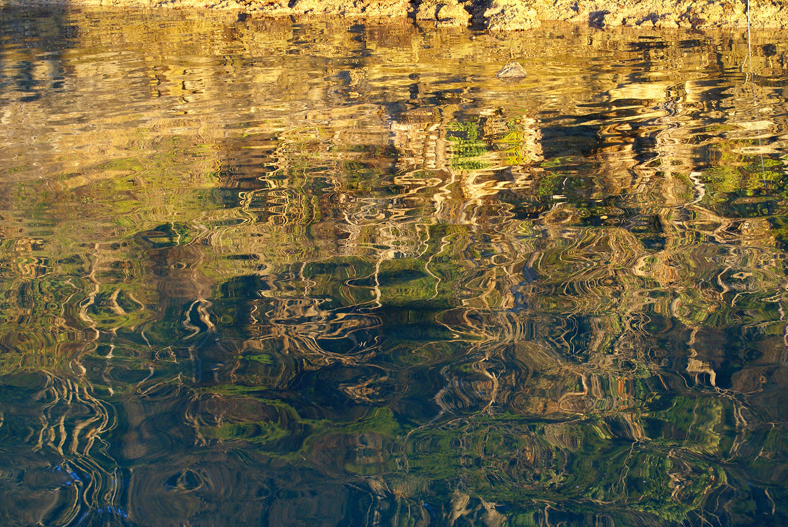Warm morning glow reflecting greenery on the rippled water.