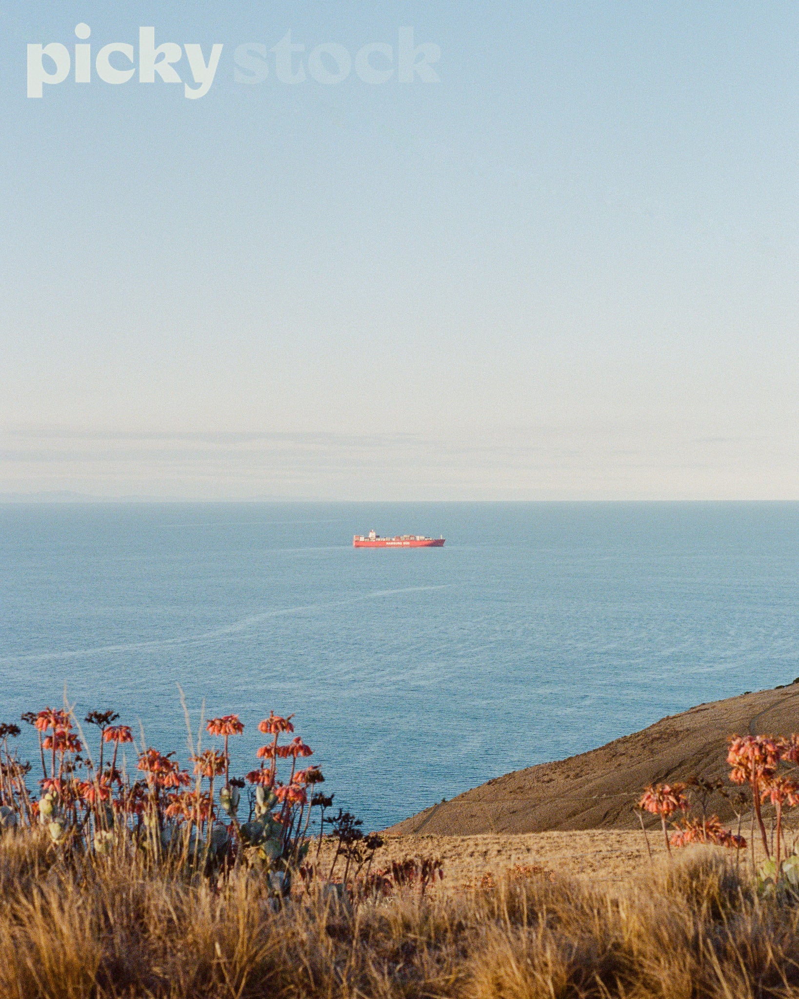 Image of a red container ship at sea. Sky is very blue and bright. Ocean is very blue. Photo taken from a cliff covered in dry brown grass with red flowers in the foreground.