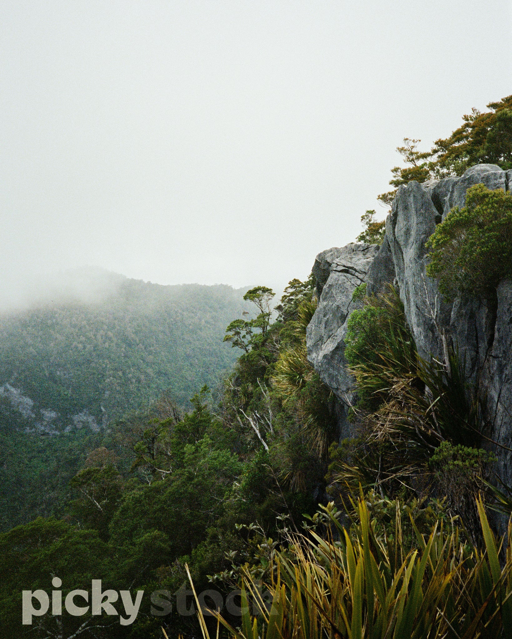 Portrait image of a lookout point. Low cloud and fog in the valley. Cliffs with dense bush surrounding the valley.