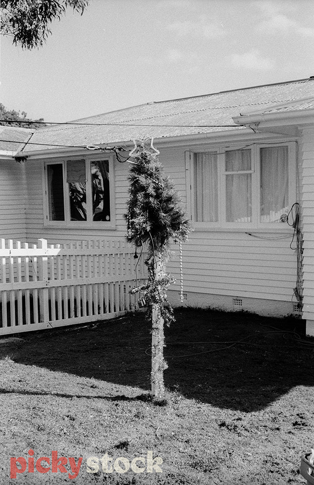 A black & white image of a small Christmas tree perched on a wooden post outside a weatherboard house. 