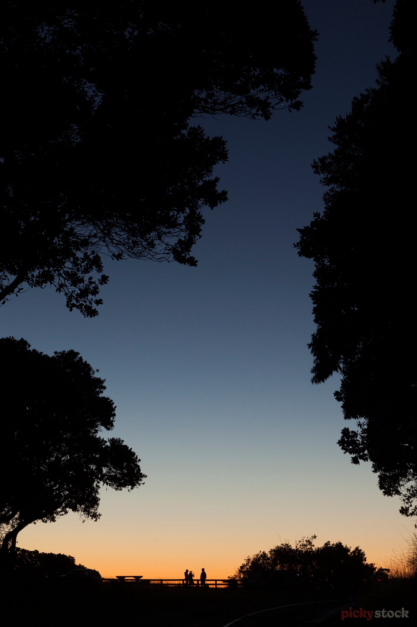 Three people standing at a lookout. Looking through the trees out to the beautiful twilight sky. 
