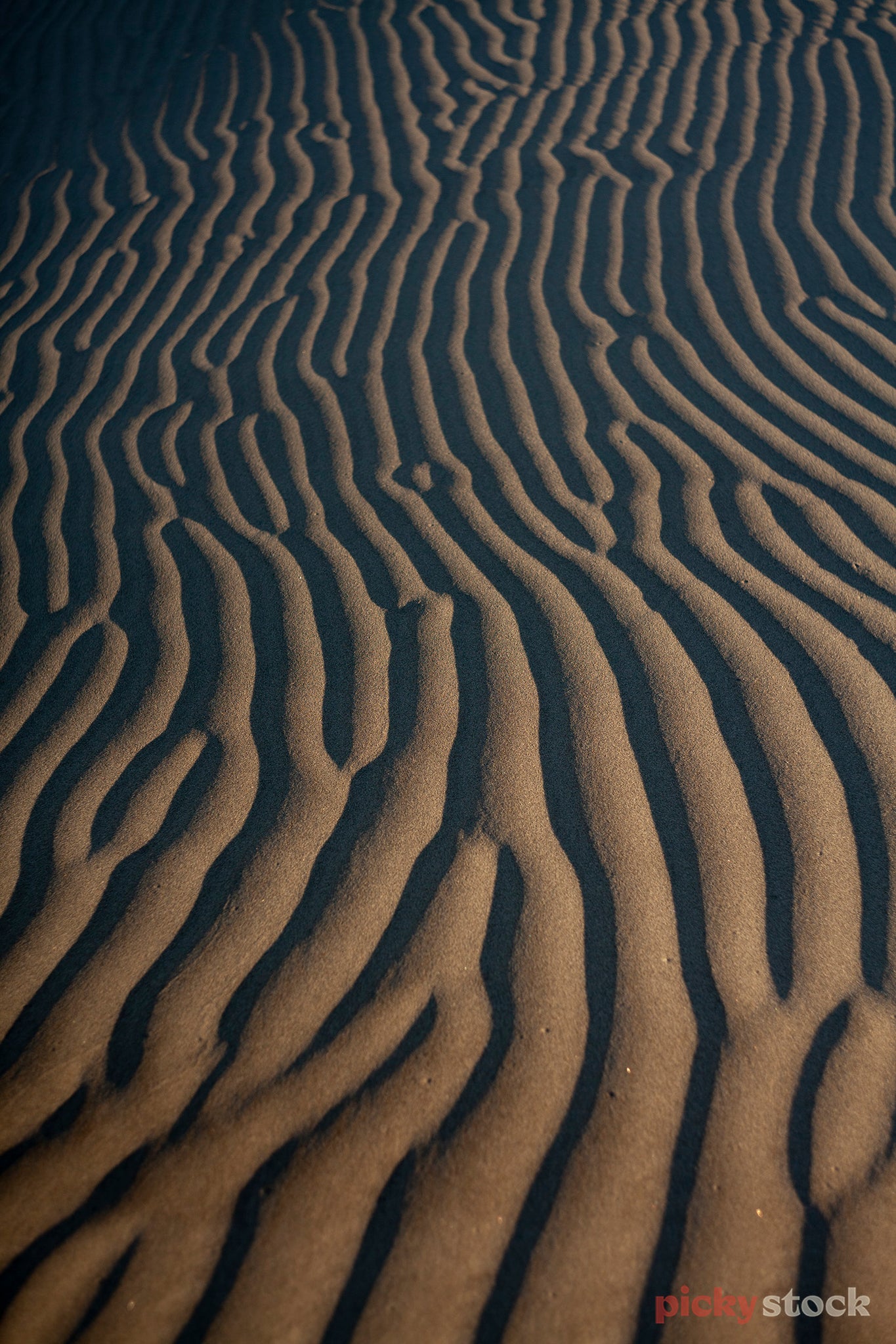 Portrait close up angle shot of a sand dune and epic natural patterns.