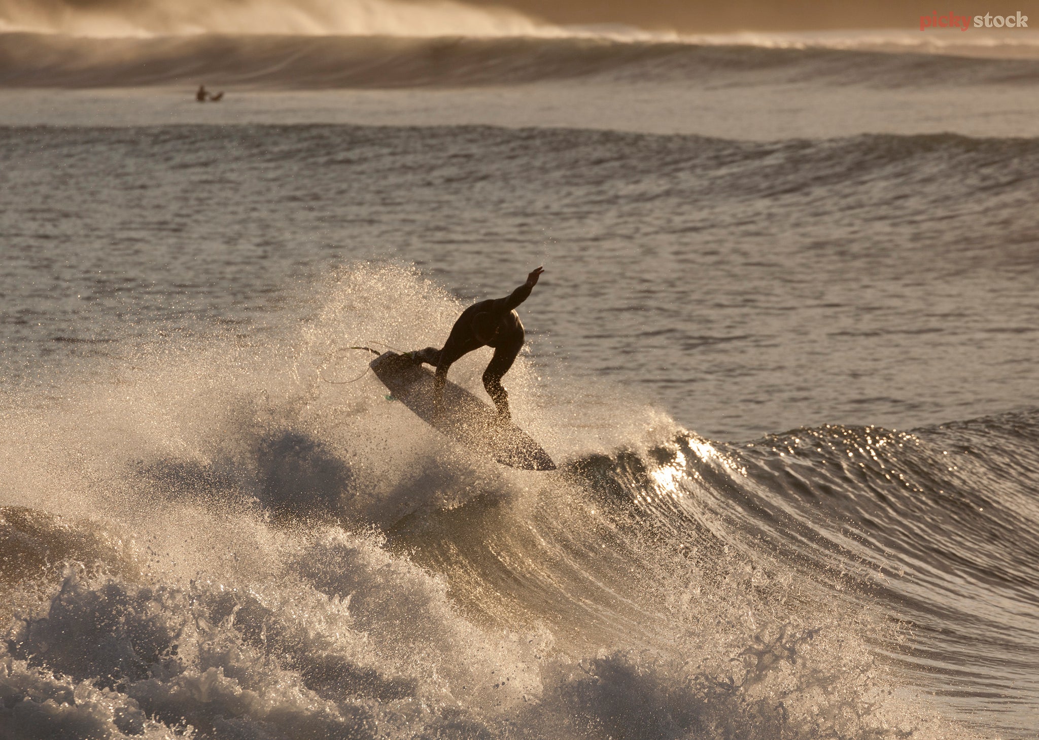 Close up image of one surfer riding a wave in Lyall Bay at sunrise. 