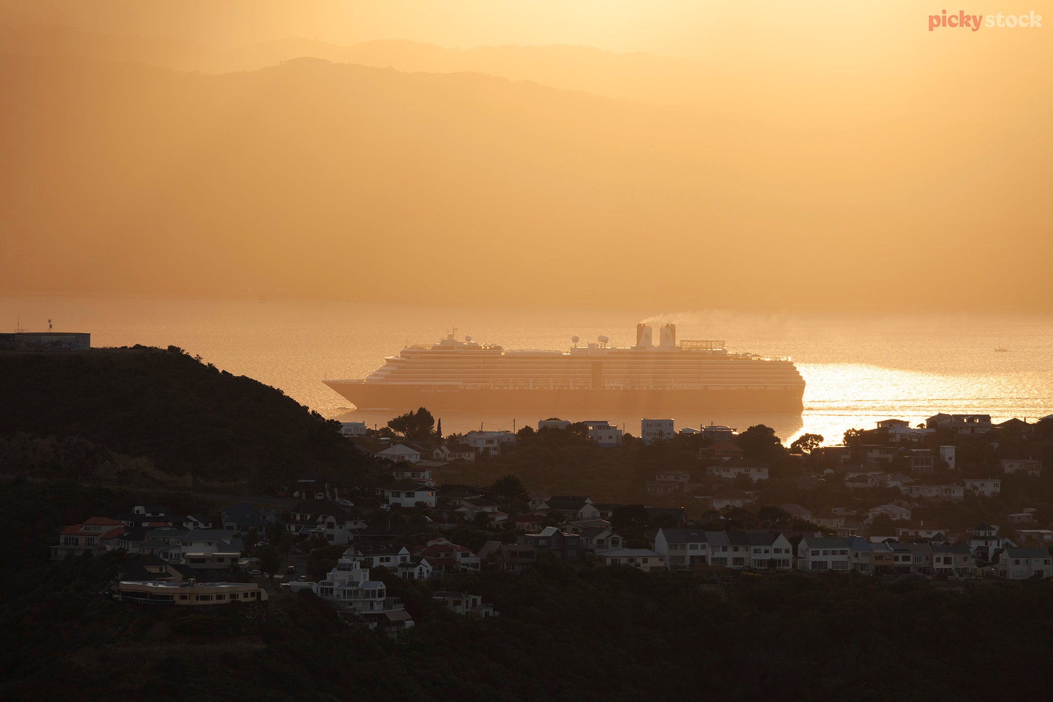 Cruise ship entering Wellington Harbour at sunrise. Foreground shows the hills of Wellington with various homes scattered throughout. 
