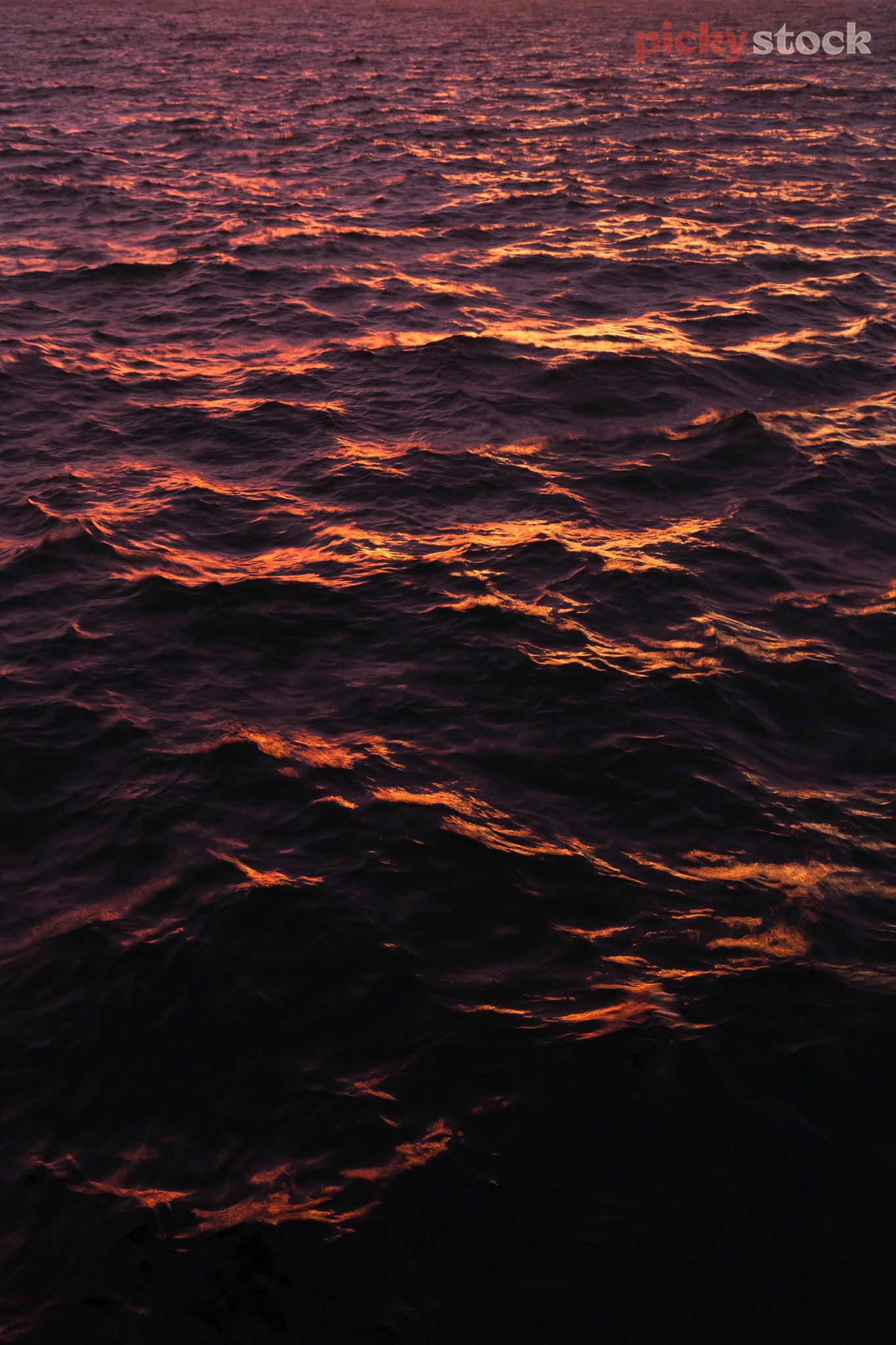 Sunrise hits the water in Wellington Harbour creating a purple and orange tone on the ocean. 