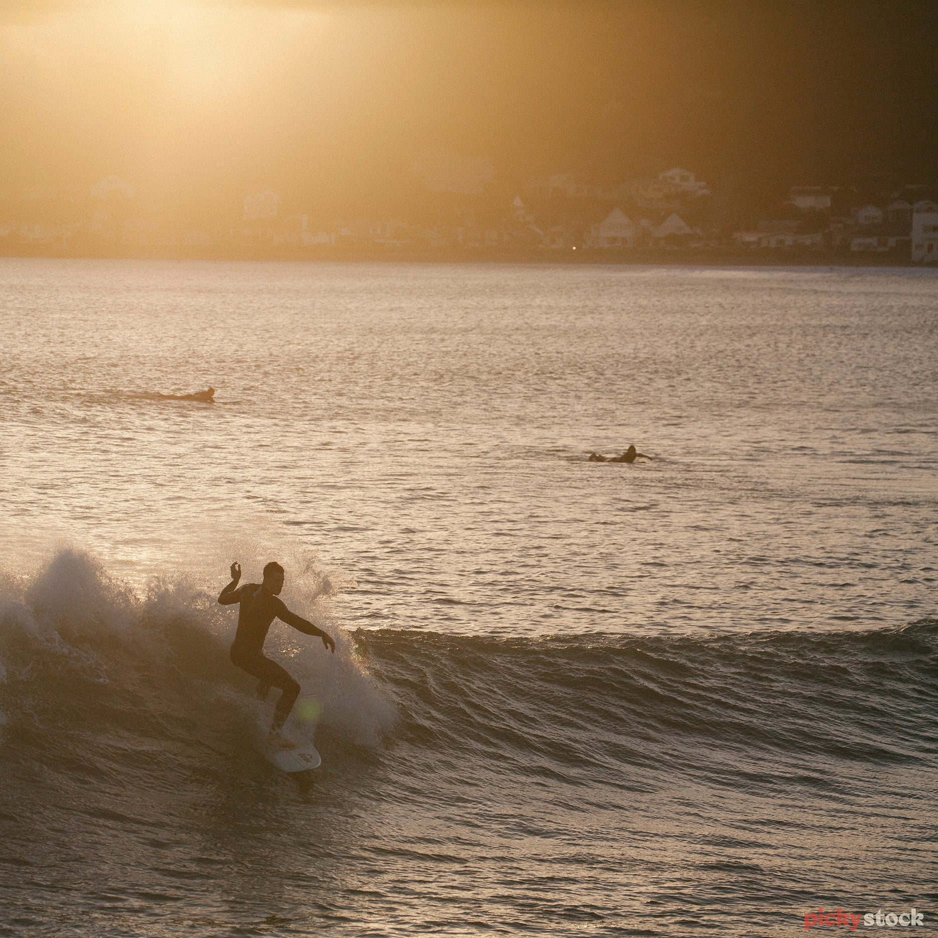 Surfing the waves of Lyall Bay at sunrise. Beach and coastal homes in the background. 