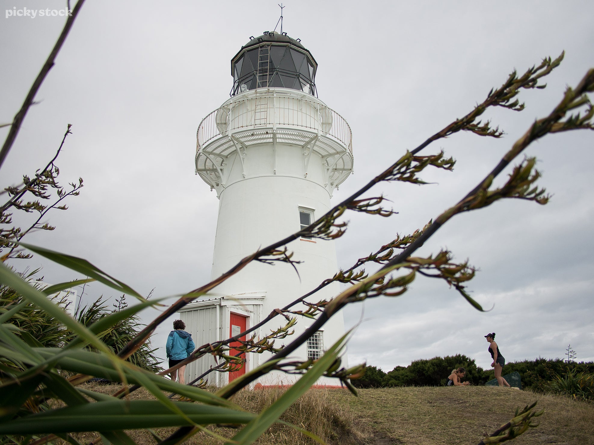 A landscape of sightseers in hiking clothes exploring the outside of a whitewashed lighthouse, with a red door and grated windows, harakeke flax surrounds the resting ground; their leaves look dim under the grey sky.