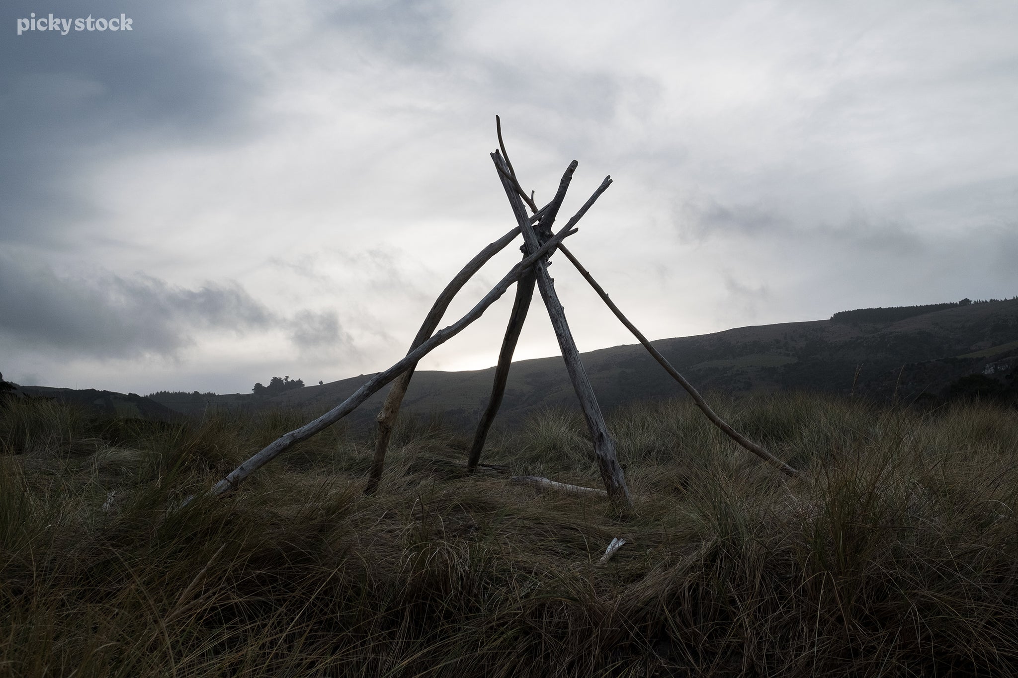 Landscape closeup of a free-standing structure amongst a field of dark green grass, wild and untamed. The dried wood leans into the center overlapping one another weaving to form a crude shelter or start of a large fire.